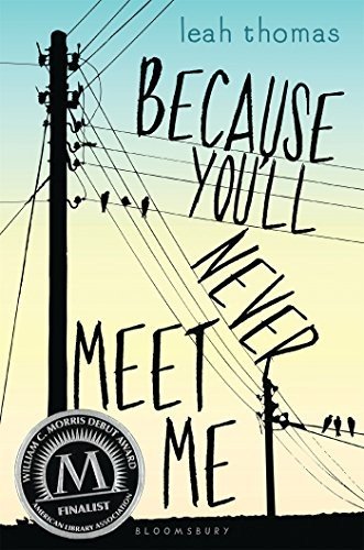 Cover of Because You'll Never Meet Me