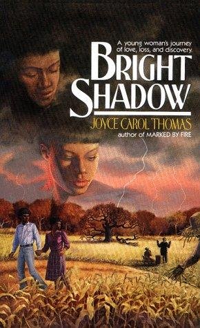Cover of Bright Shadow