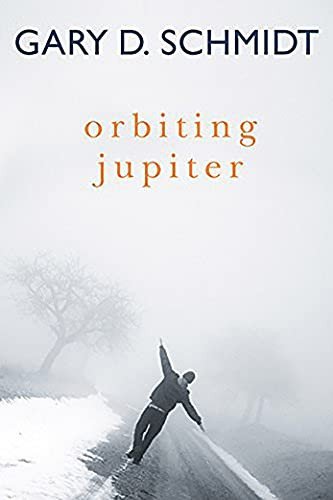 Cover of Orbiting Jupiter