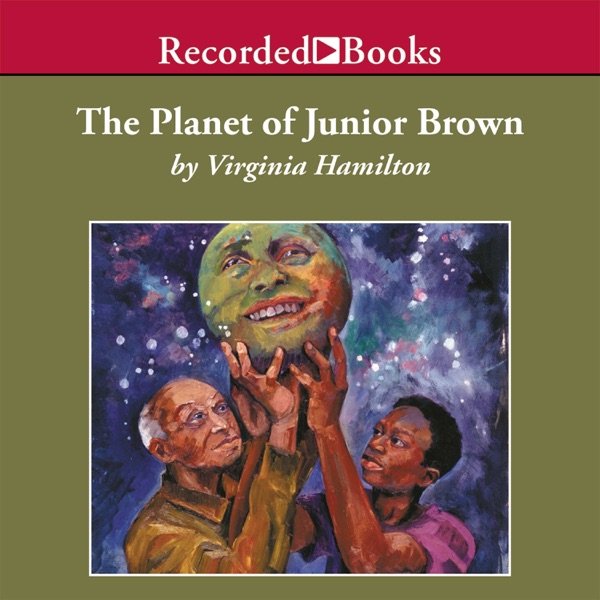 Cover of The Planet of Junior Brown