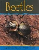 Cover of Beetles (Minibeasts)