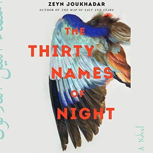 Cover of The Thirty Names of Night