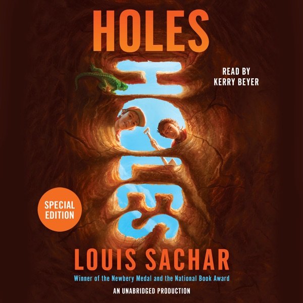 Cover of Holes