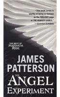Cover of The Angel Experiment