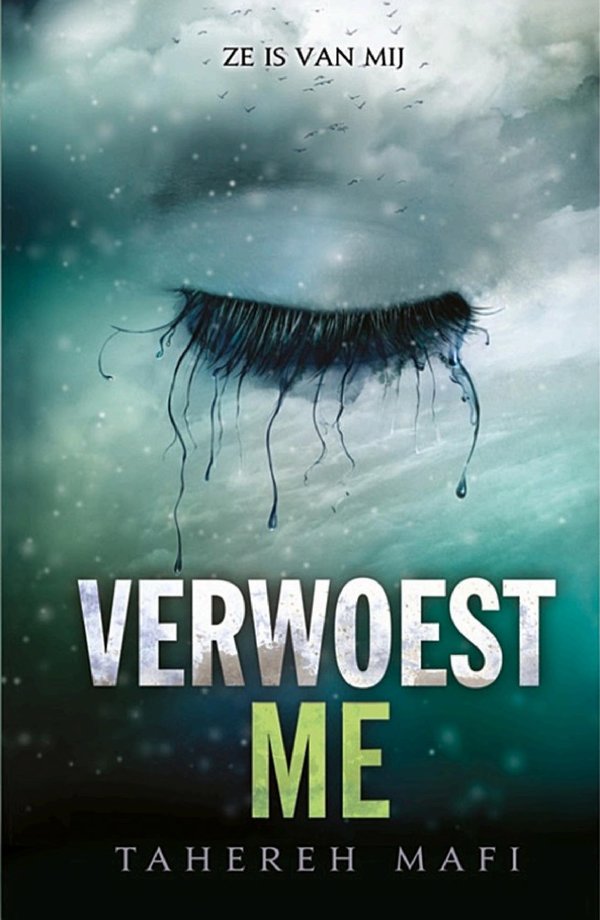 Cover of Destroy Me