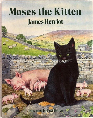 Cover of Moses the kitten