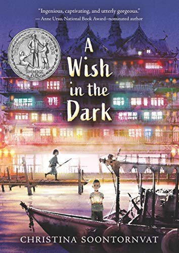 Cover of A Wish in the Dark