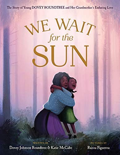 Cover of We Wait for the Sun